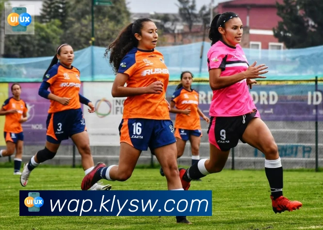 爱游戏体育app下载发展历程