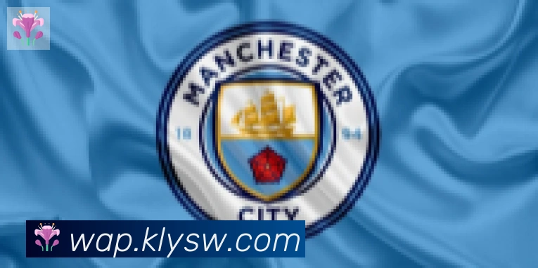 爱游戏体育app下载合作伙伴