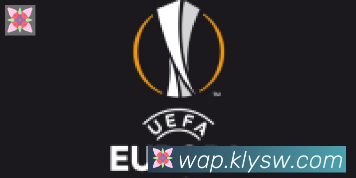 爱游戏体育app下载合作伙伴